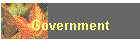 Government
